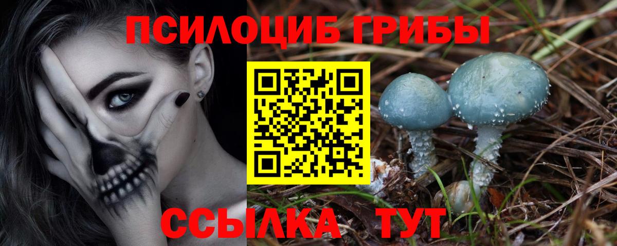 Галлюциногенные грибы Magic Shrooms  Вход с VPN  Новотроицк  Псилоцибиновые грибы мухоморы 